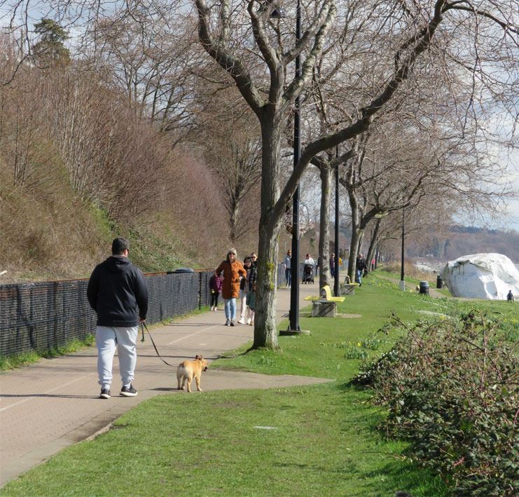 person walking dog on promenade at White Rock waterfront