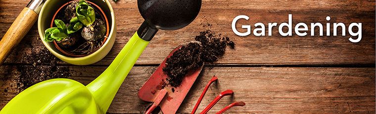 gardening tools and pot of dirt