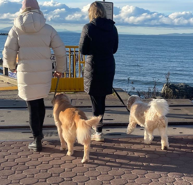 two people walking with dogs on leash on walkway with ocean backdrop