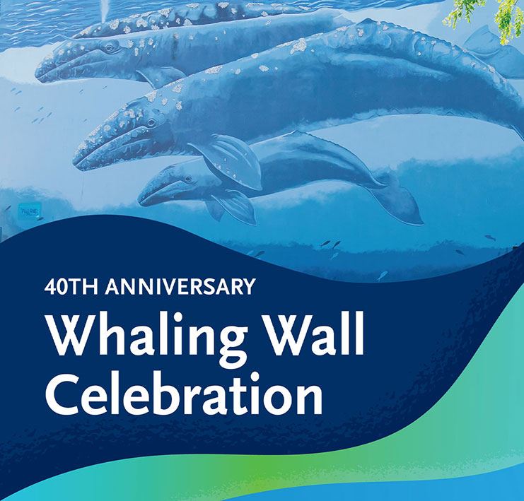 Whale Wall 40th Anniversary Celebration 