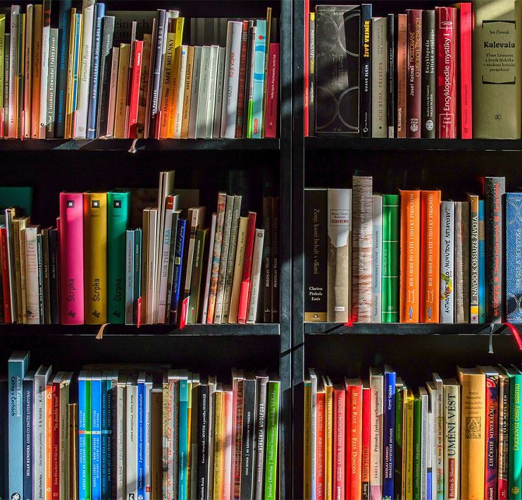 books on book shelf