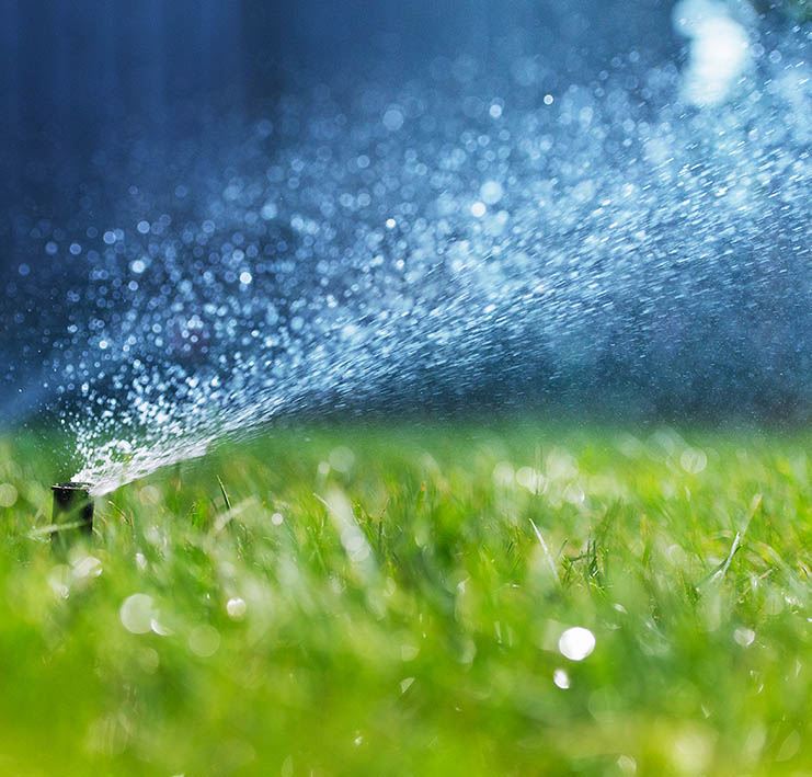 Water Sprinkler on a green Lawn
