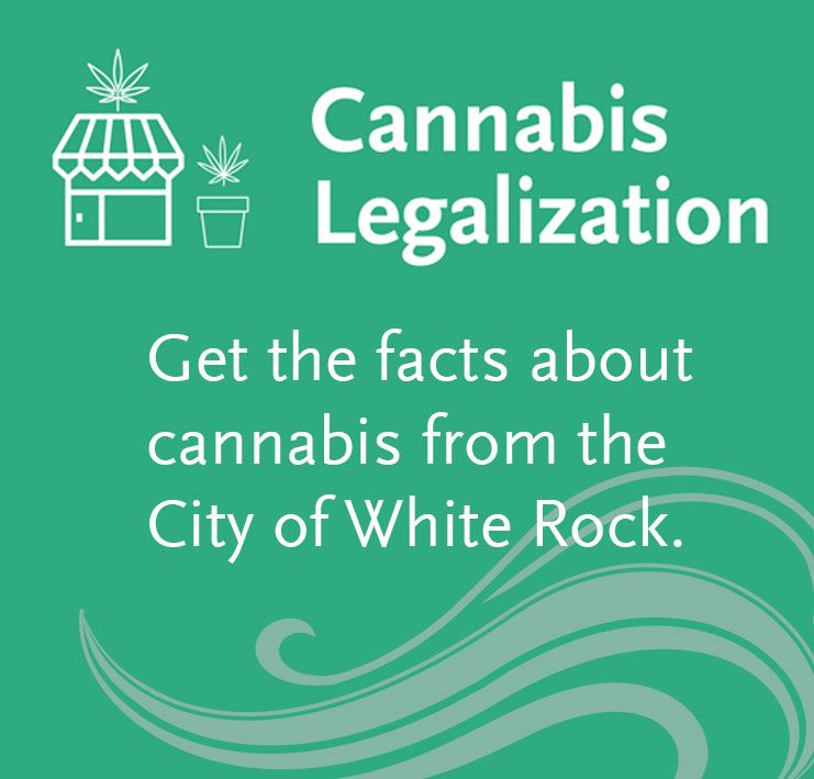 Cannabis-legalization-news-flash