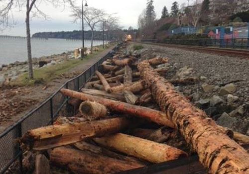 East Beach Log Removal
