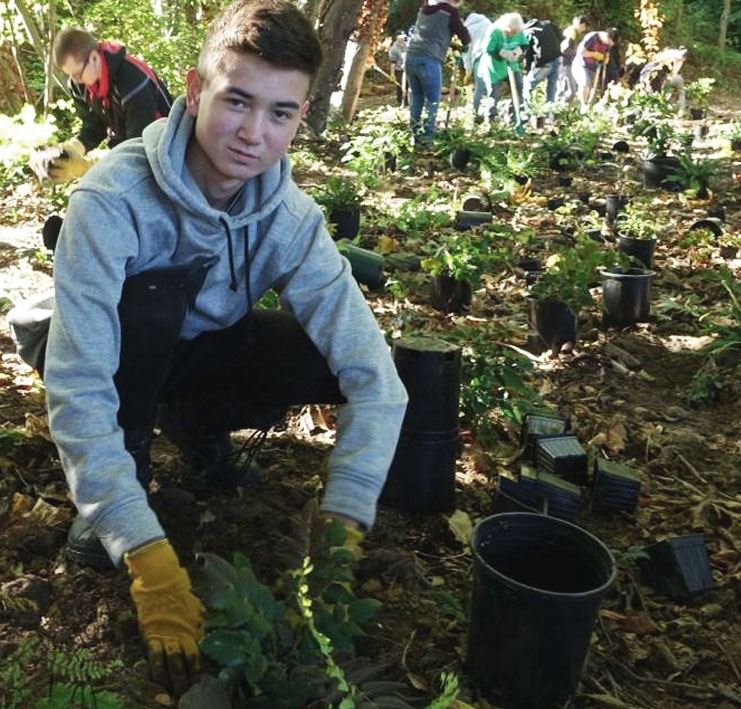 The Lower Mainland Green Team - Volunteer removing invasive plants