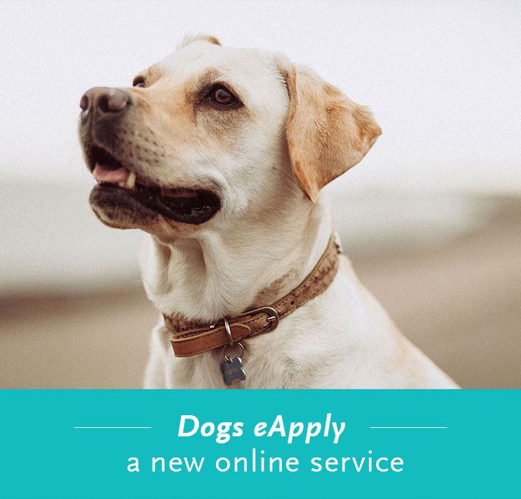 Dogs eApply - a new online service