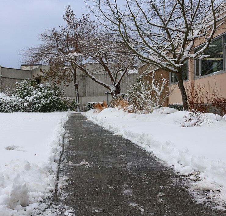 Sidewalk cleared of snow.