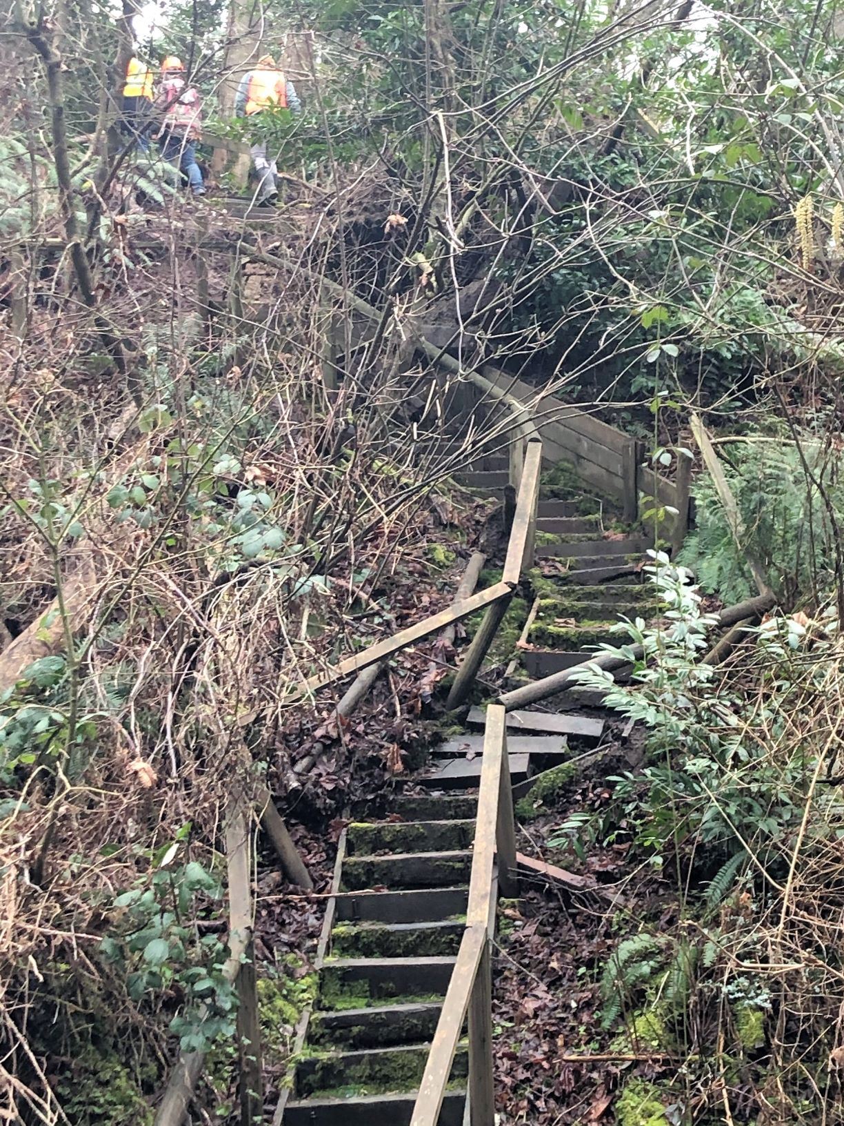 Ruth Johnson Park and Coldicutt Ravine stair damage