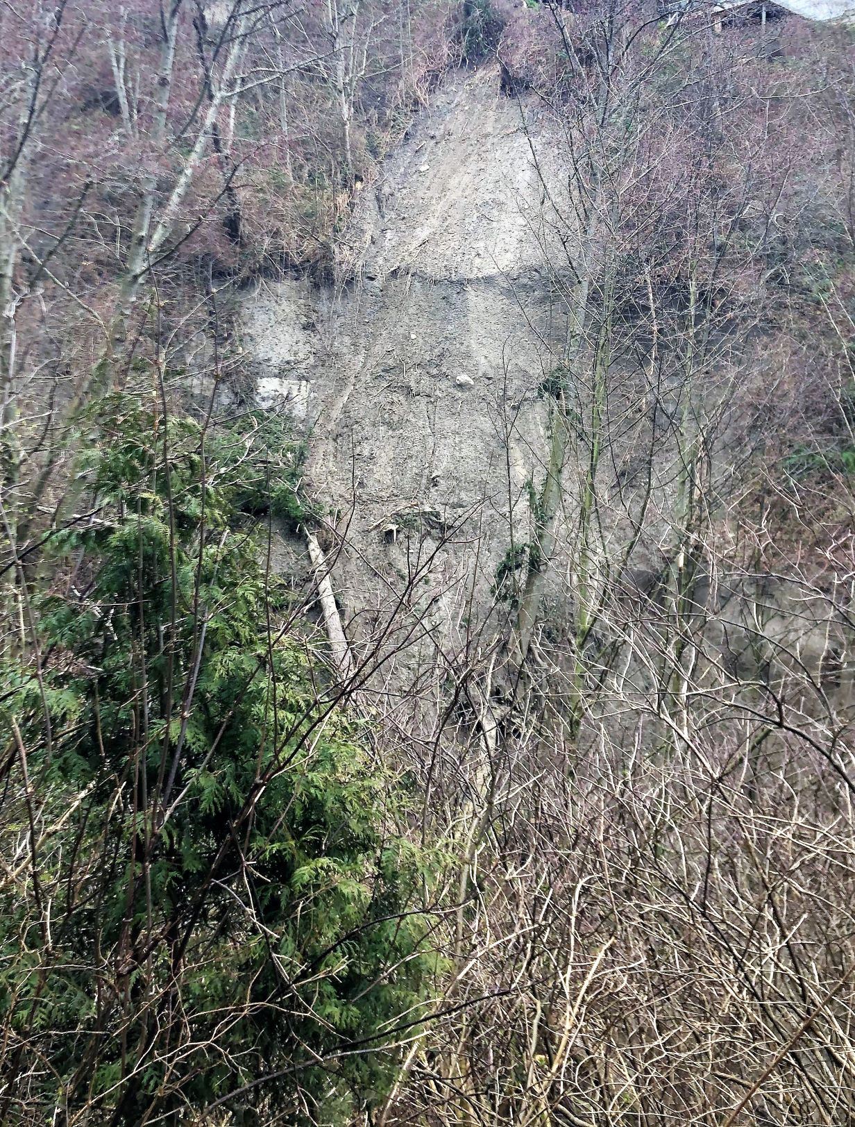 Coldicutt Ravine slope