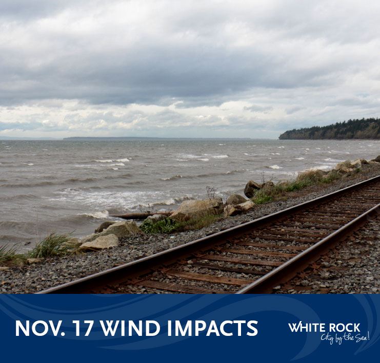 Wind impacts in White Rock - Nov. 17, 2020