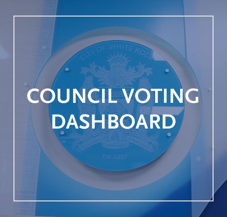 Council Voting Dashboard