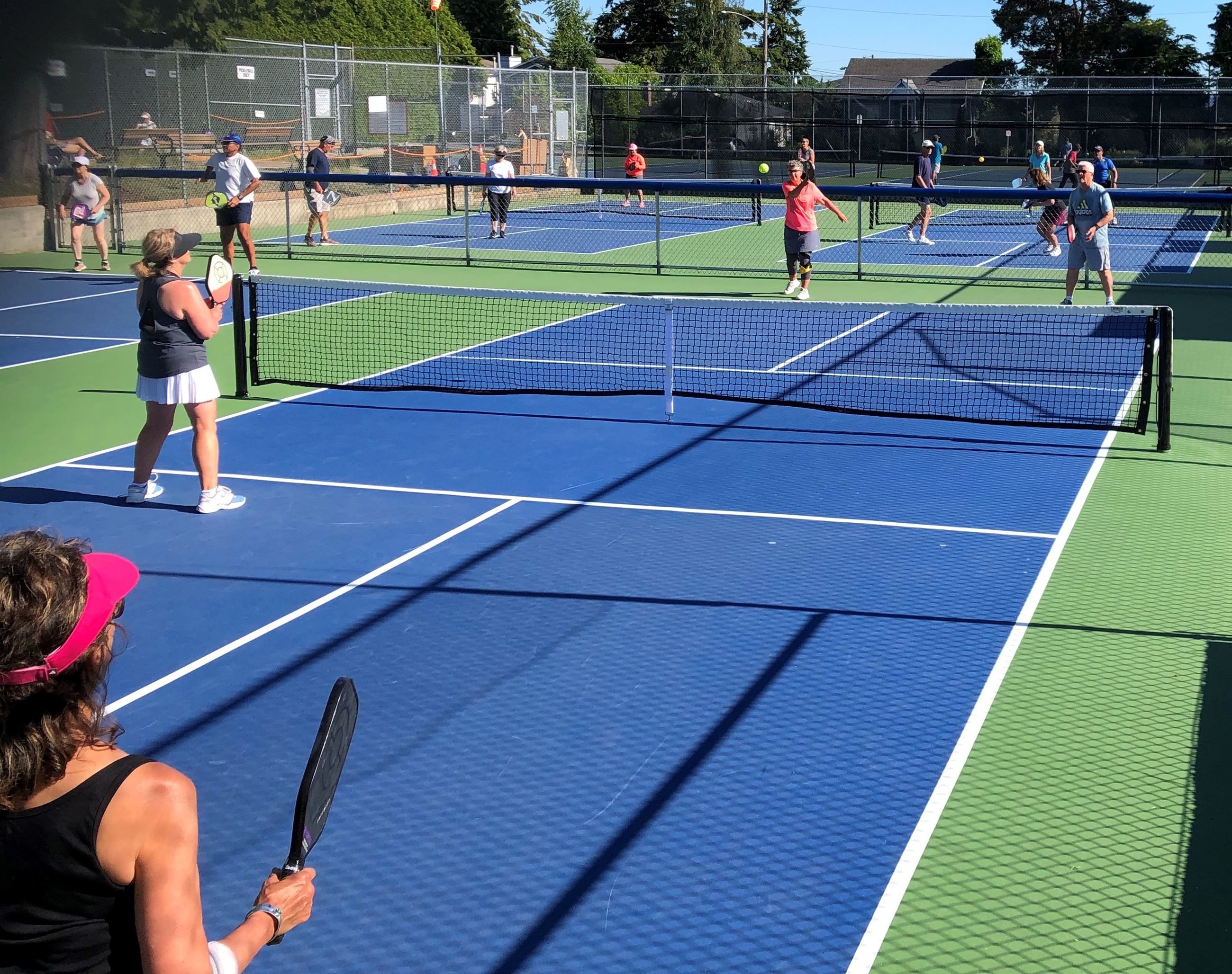 Pickeball Courts and players
