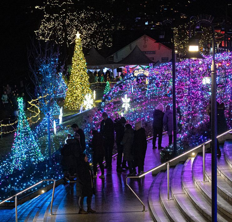 Holiday lights in Memorial Park for Bright Walk in White Rock