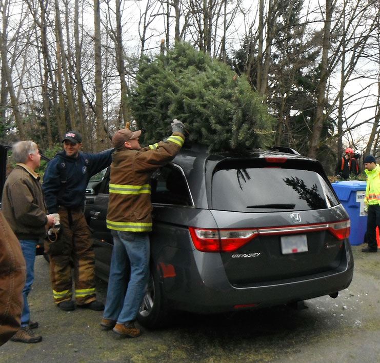 Fire fighter helping remove christmas tree from roof of van