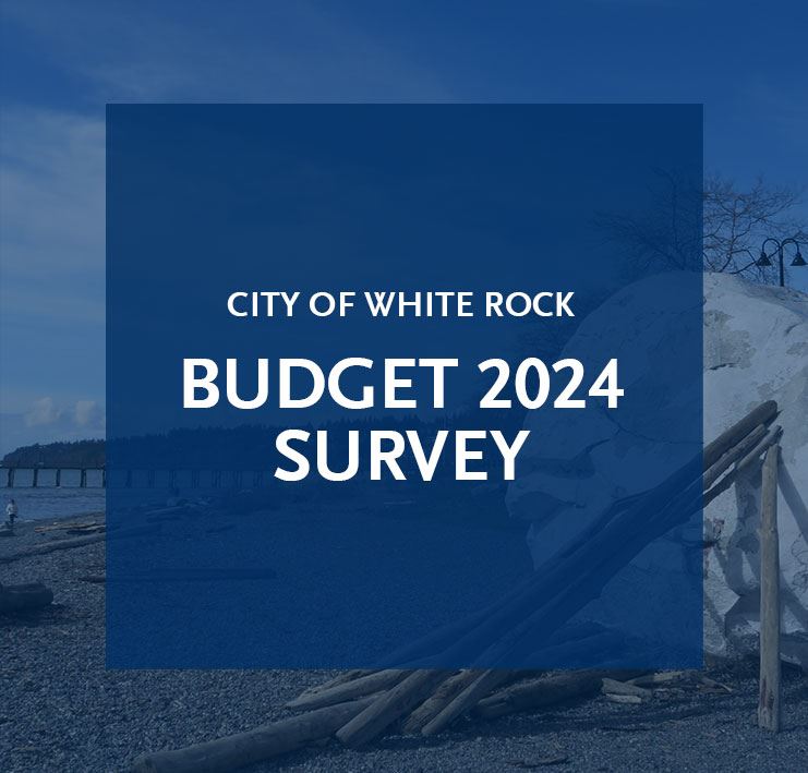 Budget 2024 Survey