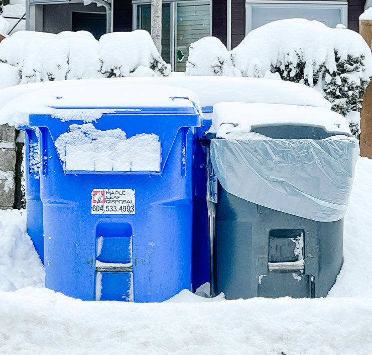 waste collection bins covered in snow