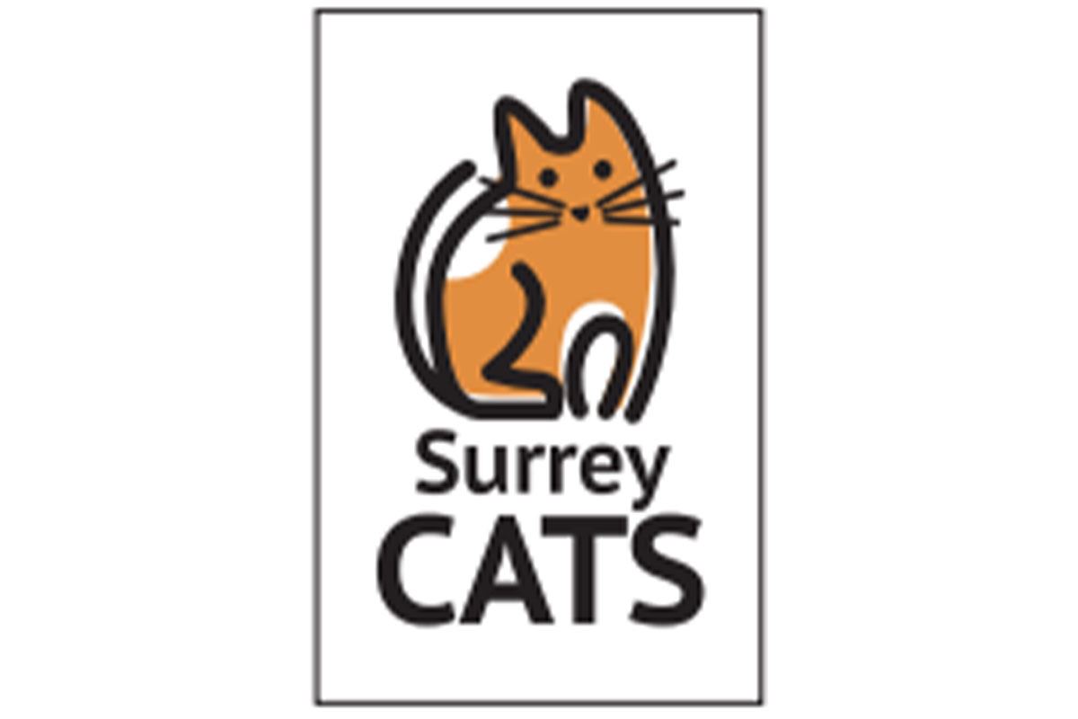 Surrey Cats