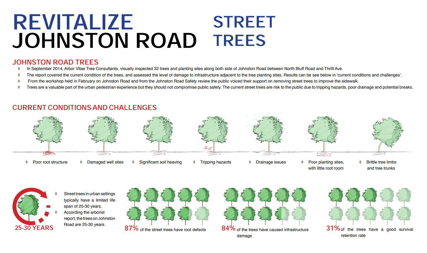 Street Trees - Infographic